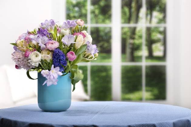 Strauß mit Freesien, Tulpen, Ranunkeln und Hyazinthen Bunch of freesias, tulips, ranunculus and hyacinths Copyright: imageBROKER ValxThoermer ibxiqx13369189.jpg