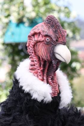 I Love Peru photocall in Cannes A condor film mascot during the I Love Peru photocall, 78th Cannes Film Festival, France on 18 May 2025. CAP GOL GOL Cannes CÃ te d Azur France Copyright: xRickxGold CapitalxPicturesx
