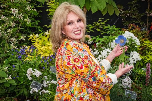 Chelsea Flower Show Press Day, London, UK London, UK. 19th May, 2025. Joanna Lumley, Kings Trust Ambassador, visits the Burncoose Nurseries grower featuring plants like azaleas and rhododendrons. RHS Chelsea Flower Show press day sees florists, designers, celebrities and invitees explore and mingle in the many garden designs and floral displays of the famous horticulture show., Credit:Imageplotter Avalon  Copyright: xImageplotterx xAvalonx 1001035493