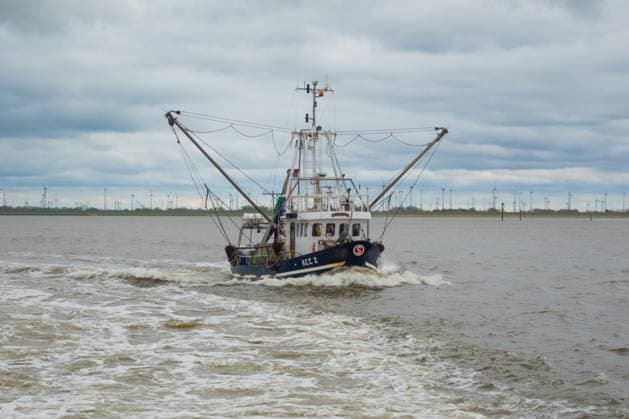 Der Fischkutter ACC2 fährt vor der ostfriesischen Küste im Wattenmeer bei Baltrum, Niedersachsen, Deutschland. *** The fishing trawler ACC2 sails off the East Frisian coast in the Wadden Sea near Baltrum, Lower Saxony, Germany