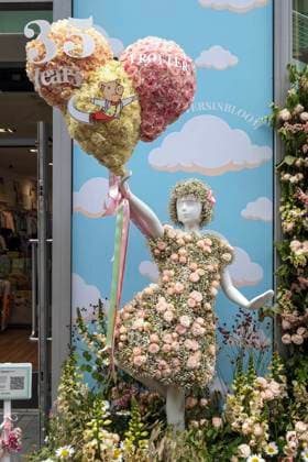 . 22 05 2025. London, United Kingdom. Chelsea in Bloom. Chelsea in Bloom, Chelsea s prestigious annual floral art show and London s largest free-to-attend festival of flowers.  xMartynxWheatleyx xi-Imagesx IIM-25969-0047