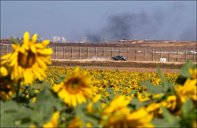 News Themen der Woche KW21 News Bilder des Tages Smoke rises from inside the northern Gaza Strip as seen behind the border fence and a field of sun flowers growing inside Israel on May 2, 2025. An unidentified vehicle uses at the fence inside Israel. Israel has said massive fighting continues in both southern and northern areas of the Gaza Strip and Israel has some 5 brigades of soldiers inside the Gaza Strip during the current Gideon s Chariots operation.  AISR20250524010 JimxHollander