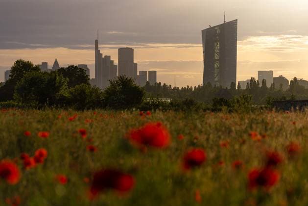 News Themen der Woche KW22 News Bilder des Tages Die Europäische Zentralbank (EZB) in Frankfurt am Main Mohnblumen bühen auf einer Wiese vor der Europäischen Zentralbank (EZB) und der Frankfurter Bankenskyline, hinter der die Abendsonne gleich untergeht. Frankfurt am Main Oberrad Hessen Deutschland *** The European Central Bank ECB in Frankfurt am Main Poppies bloom on a meadow in front of the European Central Bank ECB and the Frankfurt banking skyline, behind which the evening sun is about to set Frankfurt am Main Oberrad Hesse Germany 2025-05-27_ffm_mohnfeld_ezb_skyline_01