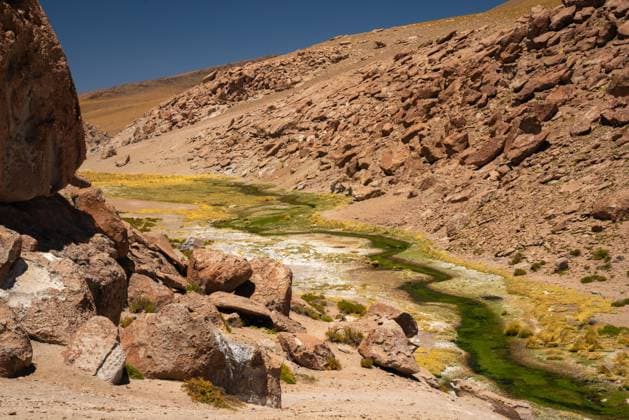 Creative Highlights World River valley in Atacama desert San Pedro de Atacama, Antofagasta, Chile CR_CYCY250527-1725472-01