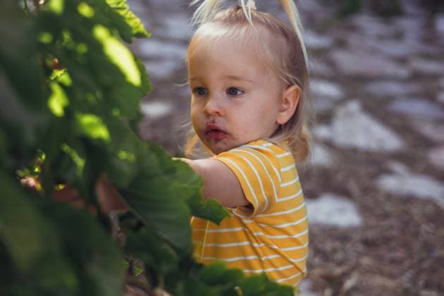 IMAGO Creative, Sommer, Sommertage im Garten Young child eat mulberries while enjoying a sunny day outdoors Antalya, Antalya, Türkiye R_BMEE250526-1744590-01 ,model released, Symbolfoto