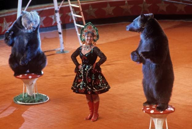Archivbilder der Woche KW22 Amusing Bears act 8929146 01.05.1978 Moscow. The Amusing Bears act at the New Moscow Circus on Vernadsky Prospekt. Sputnik Moscow Russia  Copyright: xx