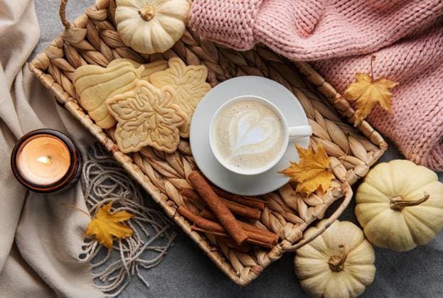 White pumpkins, coffee and autumn leaves on a grey knitted sweater. Autumn home decor. Model Released OlenaRudo_ID24244_702823_062 Copyright: xOlenaxRudox