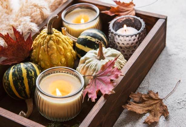 Fall composition with multi color pumpkins on rustic background Model Released OlenaRudo_ID24501_710366_023 Copyright: xOlenaxRudox