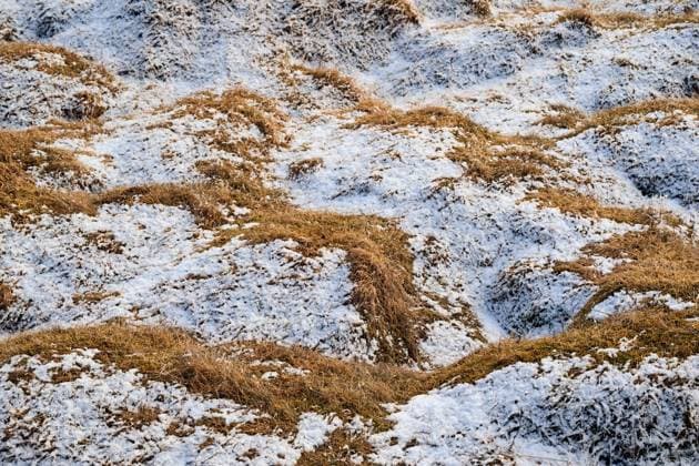 Creative Highlights World Dry grass covered with snow in winter landscape Selfoss, Sveitarfélagið Árborg, Iceland R_OSBJ250528-1722556-01