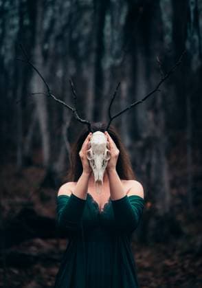 Creative Highlights Symbolbilder Woman posing with deer skull in front of face in dark forest setting. Buck Lake, Ontario, Canada CR_DOHO250602C-1747943-01 ,model released, Symbolfoto
