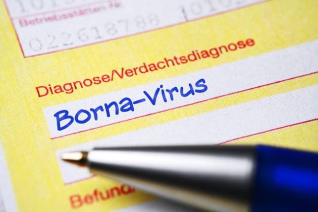 FOTOMONTAGE, Ã„rztlicher Ãœberweisungsschein mit Diagnose Borna-Virus *** PHOTOMONTAGE, medical referral form with diagnosis of Borna virus ** NUR FUER REDAKTIONELLE ZWECKE ** EDITORIAL USE ONLY **