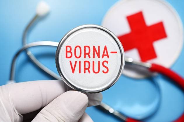 FOTOMONTAGE, Hand hÃ¤lt Stethoskop mit Aufschrift Borna-Virus *** PHOTOMONTAGE, hand holding stethoscope with inscription Borna Virus ** NUR FUER REDAKTIONELLE ZWECKE ** EDITORIAL USE ONLY **