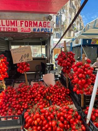 Plum tomatoes (Pomodoro Datterino) for sale in street market, Palermo Palermo Sicily Sicily Copyright: xCristinaxPerezx xVWPicsx CRP-Sicily-125