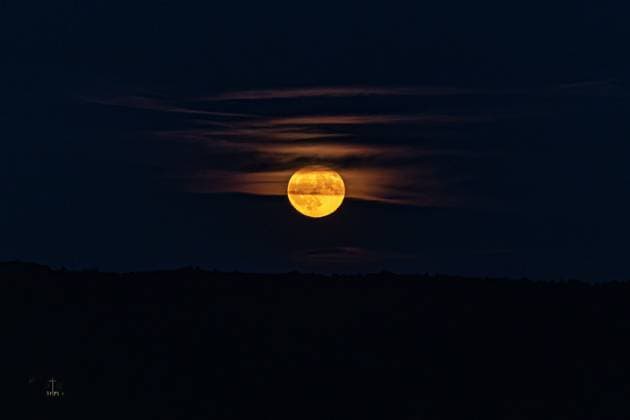 Creative Highlights World Erdbeermond über dem Rheinland Der Erdbeermond geht am Rhein auf und ist südlich von Bonn in Höhe von Bad Honnef zu sehen. Vom rheinland-pfälzischen Rolandseck aus bietet sich ein weiter Blick auf den Vollmond, der in dieser Nacht knapp über dem Horizont steht und durch die optische Täuschung besonders groß erscheint. Schleierwolken setzen den Erdtrabanten in ein beonderes Licht. Remagen Rolandseck Rheinland-Pfalz Deutschland *** Strawberry moon over the Rhineland The strawberry moon rises on the Rhine and can be seen south of Bonn near Bad Honnef From Rolandseck in Rhineland-Palatinate, there is a wide view of the full moon, which is just above the horizon on this night and appears particularly large due to the optical illusion Veil Copyright: xBonn.digitalx xMarcxJohnx