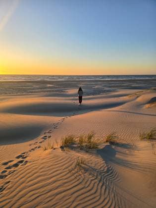 Creative Highlights Symbolfotos Ruhiger Spaziergang bei Sonnenuntergang entlang der Sanddünen an Dänemarks Küste Ruhiger Spaziergang bei Sonnenuntergang entlang der Sanddünen an Dänemarks Küste (License=RF) ,model released, Symbolfoto Copyright: xZoonar.com FokkexBaarssenx 23521568 ,model released, Symbolfoto ,property released