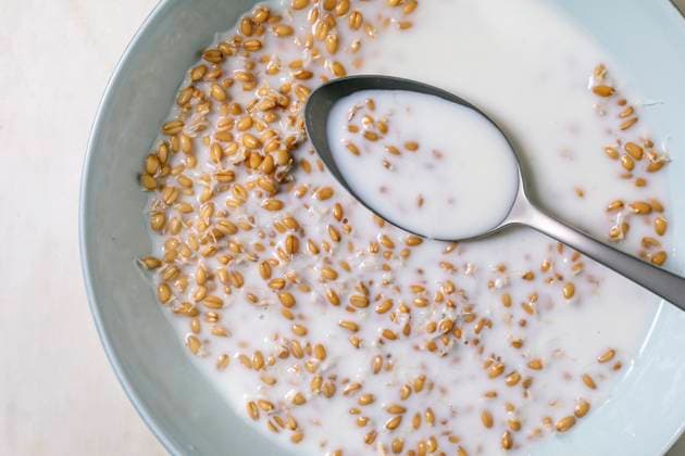 sprouted wheat Porridge With Metal Spoon Bowl sprouted wheat porridge milk breakfast cereal. Metal spoon dipped creamy nutritious morning meal. Top view healthy natural grain dish. Copyright: xNatashaxBreenx NB020525-6