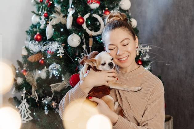 Woman hugs Chihuahua in Cozy Christmas Setting Milan, Lombardy, Italy R_NEPM250511-1309332-01 ,model released, Symbolfoto