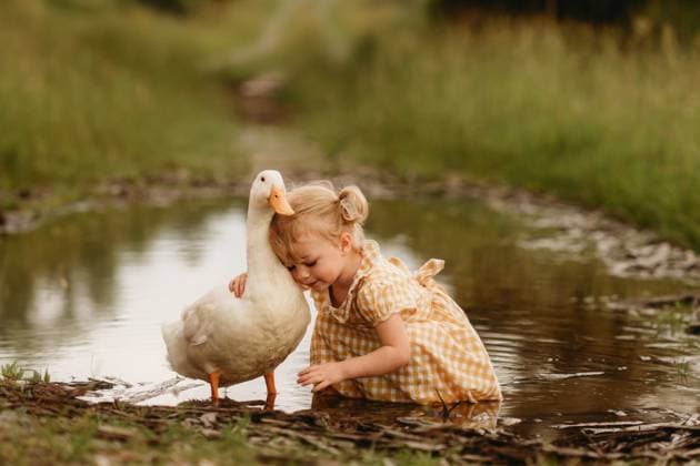 little girl in a plaid dress hugging duck in a mud puddle Beaver, West Virginia, United States CR_ZVBJ250616-1767419-01 ,model released, Symbolfoto