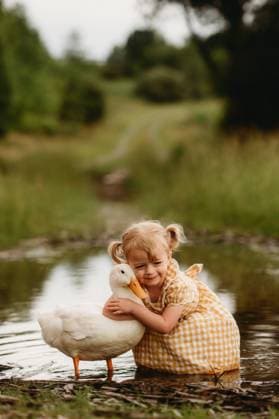Creative Highlights Symbolbilder little girl in a plaid dress hugging duck in a mud puddle Beaver, West Virginia, United States CR_ZVBJ250616-1767420-01 ,model released, Symbolfoto