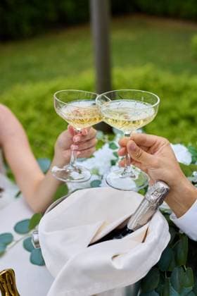 IMAGO Creative, Lifestyle, Feste im Garten #2 Cheers with elegant cocktails at a garden celebration event Saint Petersburg, Saint Petersburg, Russia CR_KNCD250617B-1770013-01