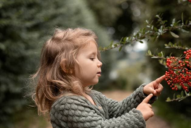 IMAGO Creative, Jahreszeit Herbst auf dem Land Creative Highlights Symbolbilder Child girl observing berries on a branch. Corby, England, United Kingdom R_JNDO250616A-1731878-01 ,model released, Symbolfoto