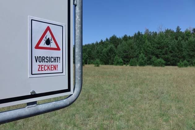 Zeckenschild am Waldrand Zeckenschild am Waldrand, 20.06.2025, Borkwalde, Brandenburg, Auf einem Schild am Waldesrand befindet sich ein Zecken-Aufkleber. *** Tick sign at the edge of the forest Tick sign at the edge of the forest, 20 06 2025, Borkwalde, Brandenburg, There is a tick sticker on a sign at the edge of the forest