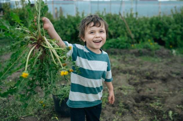 Boy smiling while gardening in a vegetable garden on a farm model released, Symbolfoto, ANAF04719