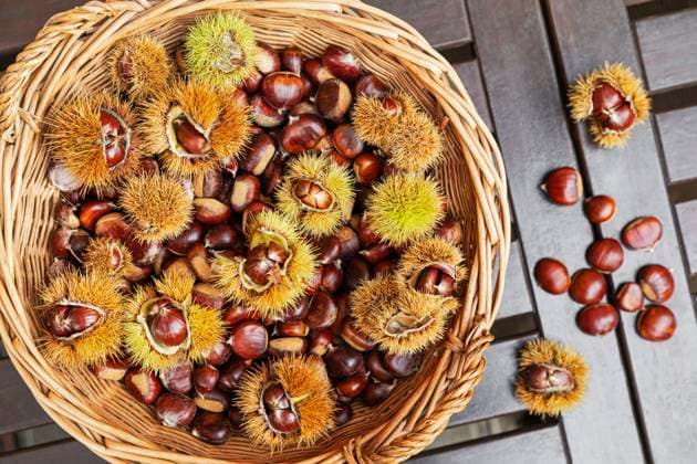 Sweet chestnut harvest in a wicker basket on a wooden table outdoors, GWF08308