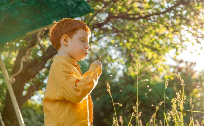 Creative Highlights Symbolbilder Red-haired child in a yellow shirt blowing on a dandelion in a sunny garden model released, Symbolfoto, MBLF00899