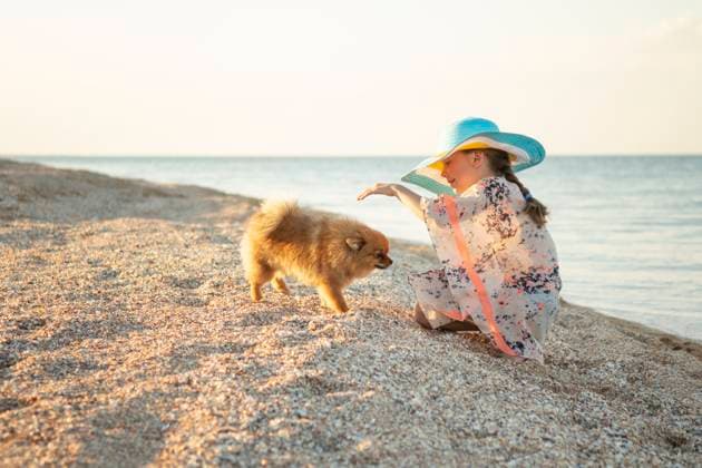 Creative Highlights Symbolbilder Girl in a hat by the sea on the beach at sunset plays with a dog Heniches ka Hirka, Kherson Oblast, Ukraine R_ELKR210416-697329-01 ,model released, Symbolfoto