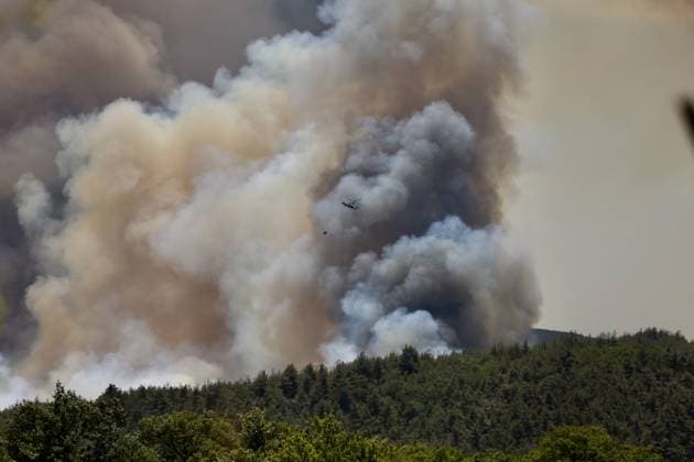 News Themen der Woche KW26 News Bilder des Tages Firefighting efforts continue in Sakarya wildfire??????? SAKARYA, TURKIYE - JUNE 27: A wildfire that broke out in a forested area is being tackled both from the air and the ground in Tarakli, Sakarya, Turkiye, on June 27, 2025. Ugur Subasi Anadolu Sakarya Turkey. Editorial use only. Please get in touch for any other usage.  Copyright: x2025xAnadoluxUgurxSubasix