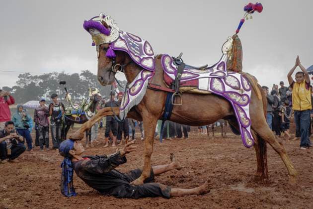 News Themen der Woche KW26 News Bilder des Tages June 28, 2025, Sumedang, West Java, Indonesia: Artists perform the Renggong horse martial arts at the Cibogo Horse Festival in Tanjungsari, Sumedang, West Java. Kuda Renggong is one of the performing arts from Sumedang Regency that has been known since the 1990s. Sumedang Indonesia - ZUMAs281 20250628_zip_s281_005 Copyright: xAlgixFebrixSugitax