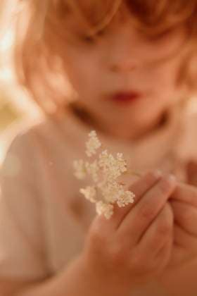 Creative Highlights Symbolbilder Child holding small white flower in warm golden light Amsterdam, North Holland, Netherlands CR_RTBZ250629D-1776218-01 ,model released, Symbolfoto
