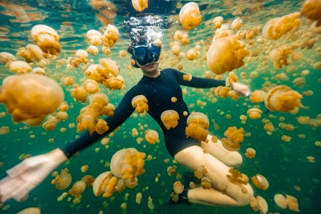 Creative Highlights Symbolbilder woman diving through jellyfish at isolated lake in Raja Ampat Misool, West Papua, Indonesia CR_THHE25062957-1777896-01 ,model released, Symbolfoto