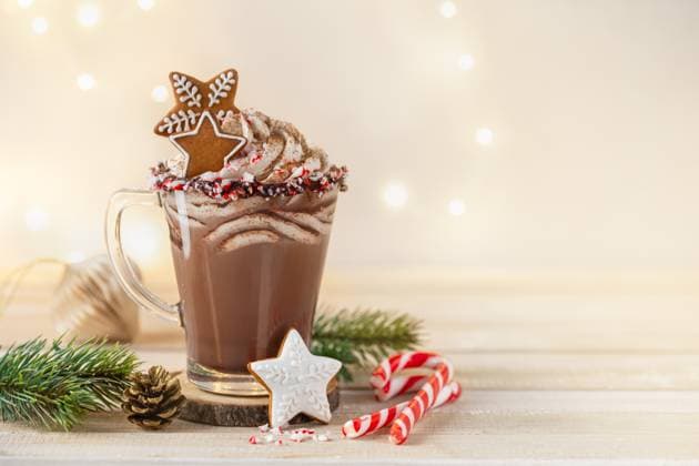 Eine Tasse heiße Schokolade Cup of hot chocolate with whipped cream, gingerbread cookies and candy cane. background with garland lights bokeh. Christmas and New Year sweet dfink and food holiday concept, copy space (License=RF) Copyright: xZoonar.com Anna_Shepulovax 23692088