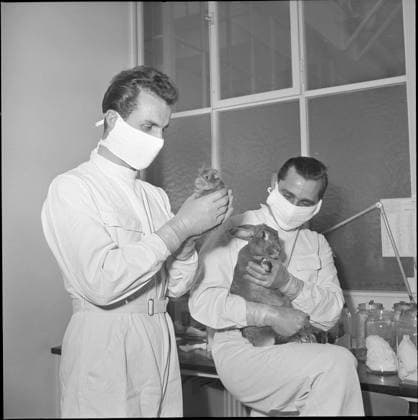 RECORD DATE NOT STATED Pharma developper team with animals. Pharma developper team with animals, Basel 1952. Copyright: RDB ATP Schocher 1032_05_RDB00005480