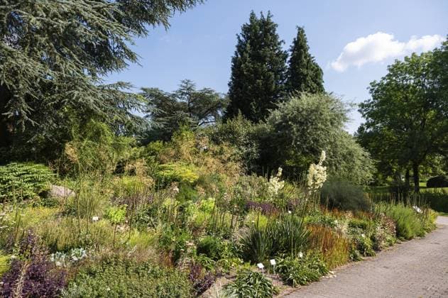 Der Botanische Garten der Universität, der Loki Schmidt Garten in Altona Hamburg, Deutschland, Europa The University botanical garden, the Loki Schmidt Garten in Altona Hamburg, Germany, Europe Copyright: imageBROKER WernerxLerooy ibliqx13868139.jpg
