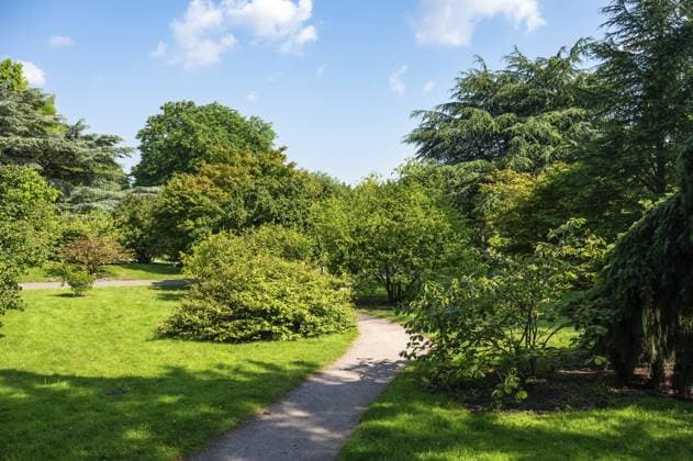 Weg durch den Botanischen Garten der Universität, den Loki Schmidt Garten in Altona Hamburg, Deutschland, Europa Pathway trhough the University botanical garden, the Loki Schmidt Garten in Altona Hamburg, Germany, Europe Copyright: imageBROKER WernerxLerooy ibliqx13868178.jpg