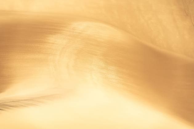 MR_ID29807_21508_FranciscoFernandez.jpg Captivating image of golden sand dunes showcasing intricate textures under warm sunlight. The flowing patterns create a serene and mesmerizing natural landscape. Model Released JuanLopez_ID29807_1007459_009 Copyright: xJuanxLopezx