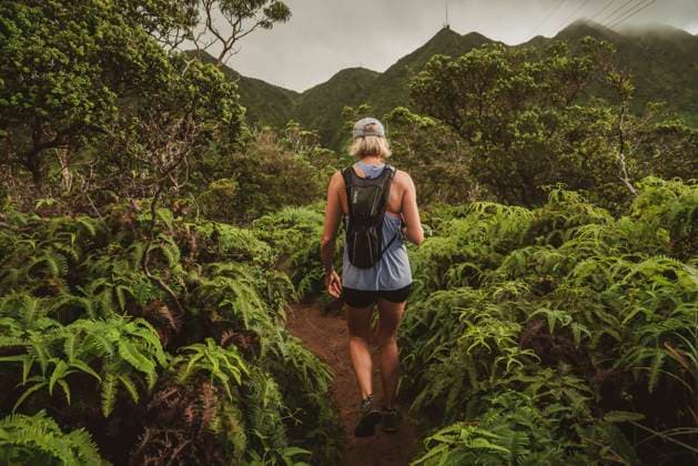 Creative Highlights Symbolbilder Athletic blonde woman going on a hike in the Hawaiian rainforest Honolulu, HI, United States R_ALKA210406B-576493-01 ,model released, Symbolfoto