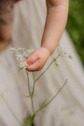 Creative Highlights Symbolbilder Toddler in white dress holding wildflowers in grassy field Amsterdam, North Holland, Netherlands R_RTBZ25070356-1777417-01
