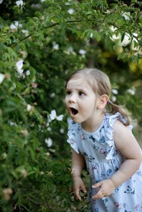 Creative Highlights Symbolbilder Child girl is amazed by the rosehip. Corby, England, United Kingdom R_JNDO250705B-1768189-01 ,model released, Symbolfoto