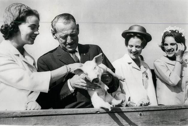 Tiere Aquarien Archäologie Insekten Fossilien Zoos 23. Juni 1964 - 23.06.64 Dieses kleine Schweinchen traf den König König Frederik von Dänemark in Begleitung von Königin Ingrid und ihren Töchtern, den Prinzessinnen Margrethe, Benedikte und Anne-Marie, besuchte am Wochenende die Viehschau im Bellahoej in Kopenhagen, wo sie die neuesten Entwicklungen in der dänischen Landwirtschaft und im Maschinenbau sahen. Foto zeigt: König Frederik wird auf der Landwirtschaftsschau ein kleines Ferkel vorgestellt, beobachtet von (von links nach rechts) Prinzessin Benedikte und den Prinzessinnen Margrethe und Anne-Marie, die die ganze Angelegenheit offensichtlich sehr amüsierten. *** Animals Aquaria Archaeology Insects Fossils Zoos 23 June 196  Copyright: xUnitedxArchivesx xkpaxKeystonex 19640623_baf_k09_001