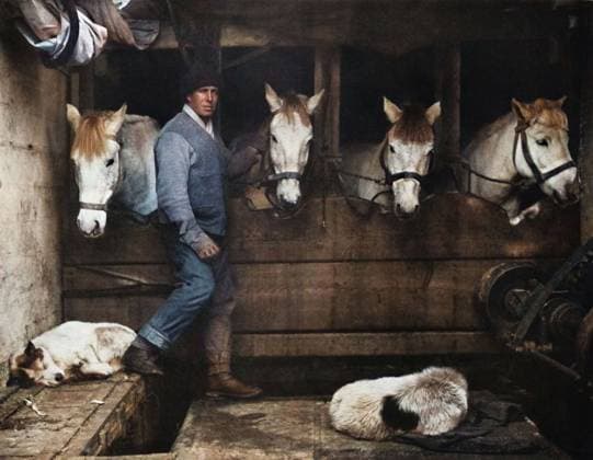 RECORD DATE NOT STATED Captain Oates, on the Terra Nova with the Siberian Ponies, c1911, (1914). British Antarctic explorer Lawrence Titus Oates (1880-1912) with expedition ponies and dogs. Captain Robert Falcon Scott, leader of the Terra Nova Expedition, together with Oates and two others, reached the geographic South Pole on 17 January 1912, only to find that the Norwegian expedition under Amundsen had beaten them to their objective by a month. Oates, suffering from gangrene and frostbite, walked from his tent into a blizzard. His death is seen as an act of heroic self-sacrifice - aware that his ill health was compromising his three companions chances of survival, he chose certain death. Delayed by blizzards, and running out of supplies, Scott and the remainde  Copyright:ThexPrintxCollector HeritagexImagesxHerbertxPontingx IMAGO