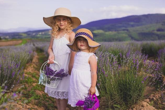 Creative Highlights Symbolbilder Zwei kleine Mädchen in weißen Kleidern und Hüten mit Körben stehen inmitten eines Lavendelfeldes Two little girls in white dresses and hats with baskets stand among a lavender field Copyright: imageBROKER Dr.xMartinxBaumgärtn ibxiqx13440010.jpg ,model released, Symbolfoto ,property released