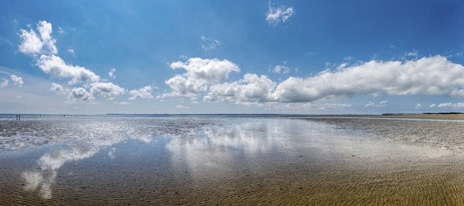 Panoramaansicht des Watts vor der Nordseeinsel Föhr mit sich im Gezeitentümpel spiegelnden Himmel bei sonnigem, schönen Wetter Panoramic view of the mudflats off the North Sea island of Föhr with the sky reflected in the tidal pools in sunny, fine weather Copyright: imageBROKER FrankxWagner ibxiqx14266021.jpg