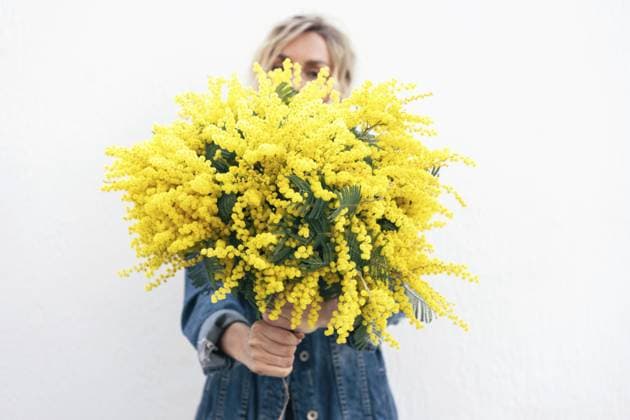 Creative Highlights Symbolbilder Eine Frau hält einen Mimosenstrauß in einem Rahmen hoch. Schöne sonnige lebendige Farbe Frühling Inhalt A woman holds out a bouquet of mimosa in a frame. Beautiful sunny vibrant color spring content Copyright: imageBROKER TITOVAxILONA ibxiqx14181015.jpg ,model released, Symbolfoto ,property released