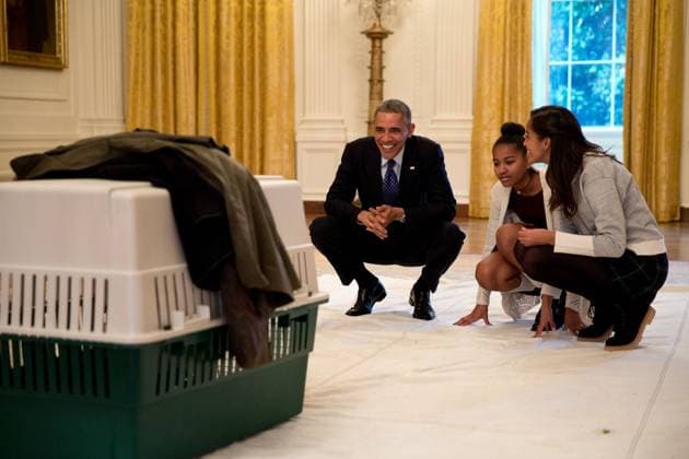 Archives - Barack Obama et ses nombreuses rencontres avec les enfants - Nov. 26, 2014 The President and his daughters Malia and Sasha look at Mac the turkey in the East Room prior to the annual National Thanksgiving Turkey pardon ceremony at the White House. The President pardoned Cheese publicly, though both Mac and Cheese were spared to live out their life at a farm in Ohio. WASHINGTON Etats-Unis *** Archives Barack Obama and his many meetings with children Nov 26, 2014 The President and his daughters Malia and Sasha look at Mac the turkey in the East Room prior to the annual National Thanksgiving Turkey pardon ceremony at the White House The President pardoned Cheese publicly, though both Mac and Cheese were spared to live out  Copyright: xPetexSouza ThexWhitexHousexviaxBestimagexPetexSouza ThexWhitexHousexviaxBestimagex
