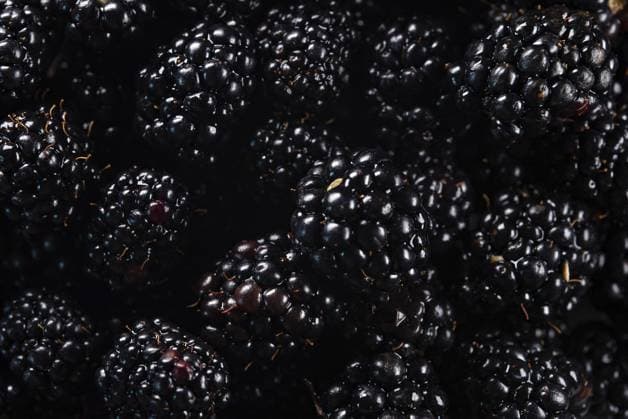 Viele glänzende, frische, reife Brombeeren Viele glänzende, frische, reife Brombeeren Copyright: imageBROKER MarutaxDmitri ibxiqx13918382.jpg