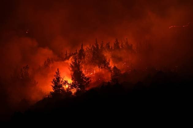 Bilder des Jahres 2025, News 07 Juli News Themen der Woche KW28 Forest fire has broken out on the border between Bursa and Balikesir BURSA, TURKIYE - JULY 11: Flames rise as firefighters battle a forest fire with both aerial and ground teams on the Bursa-Balikesir city border in Turkiye, on July 11, 2025. Sergen Sezgin Anadolu Bursa Turkey. Editorial use only. Please get in touch for any other usage.  Copyright: x2025xAnadoluxSergenxSezginx